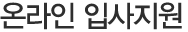 온라인 입사지원